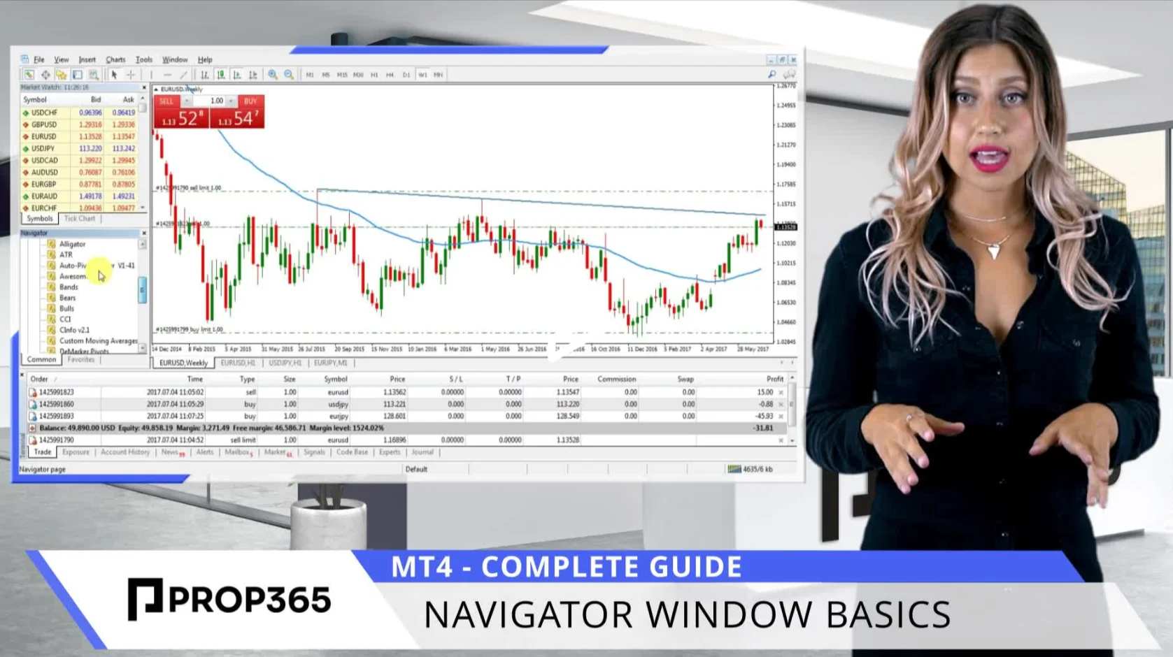 Navigator Window Basics
