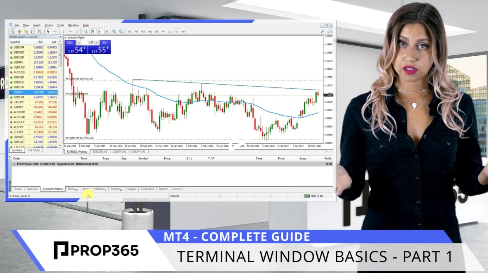 Terminal Window Overview - Part 1